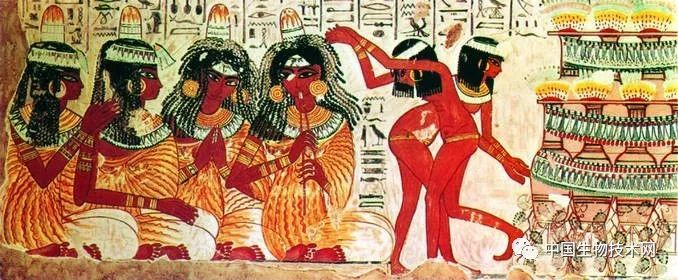 这位促成埃及统一的法老英年早逝,他究竟是怎么死的?