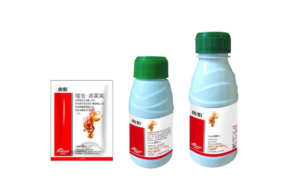 红蜘蛛|警报！今年小麦红蜘蛛呈爆发趋势！