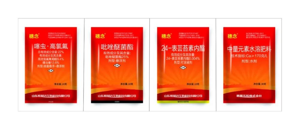 红蜘蛛|警报！今年小麦红蜘蛛呈爆发趋势！