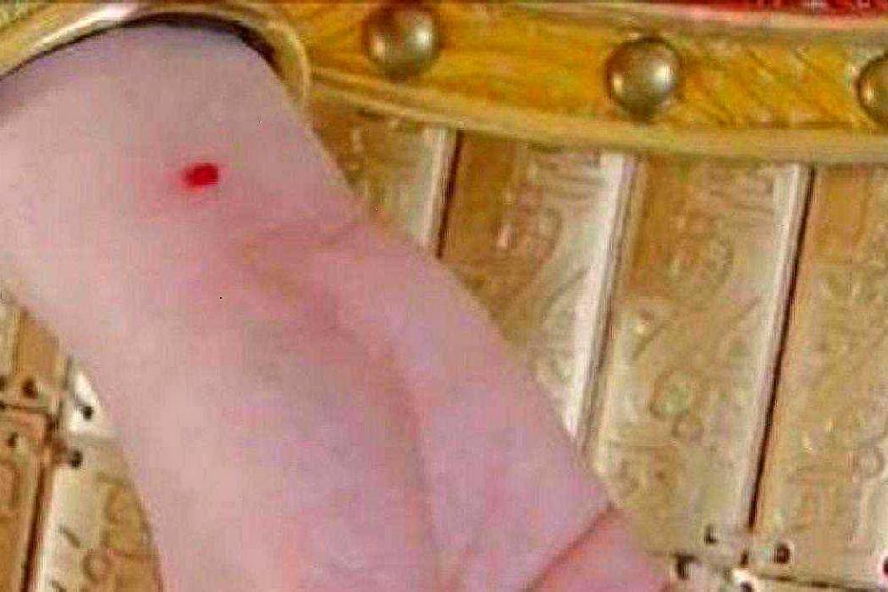 首选!守宫砂是什么"煞费苦心"-第2张图片-洛克网