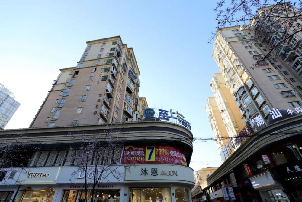 原创樱花开了常德人家乡的高山街美如画