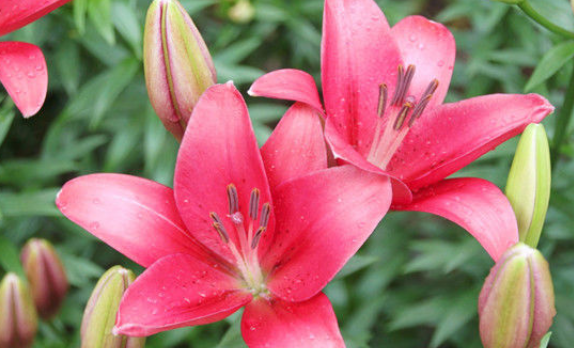 苦尽甘来|2月25号后苦尽甘来,得吉星祝福,财运蹿升,收入高涨的生肖