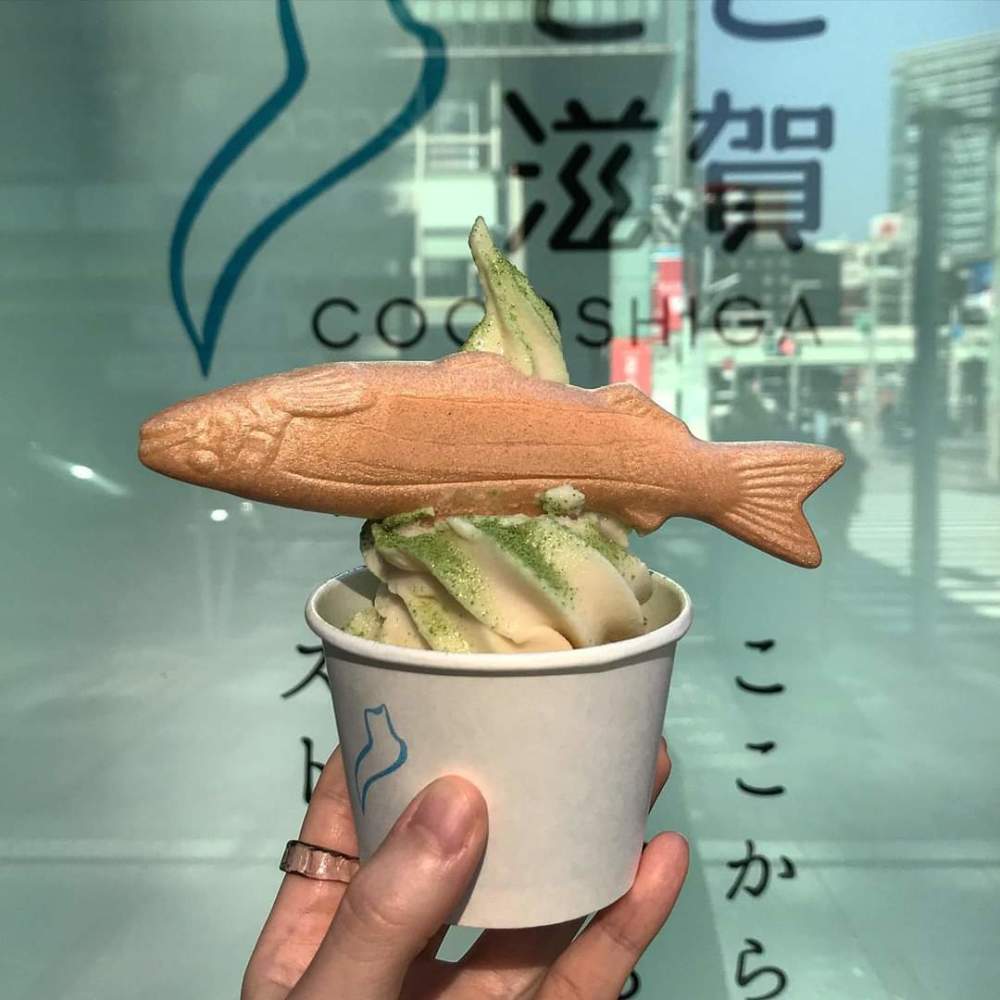 化腐朽为神奇 日本人居然把这种 臭名昭著 的东西做成了冰淇淋 腾讯新闻