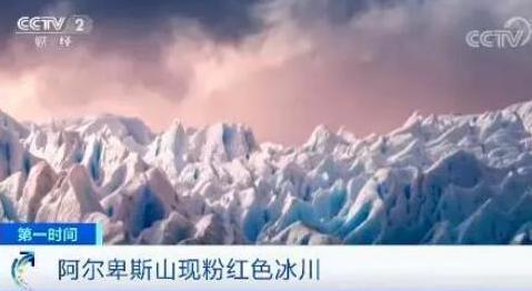 西瓜雪|南极又现“西瓜雪”，但这一点也不浪漫……