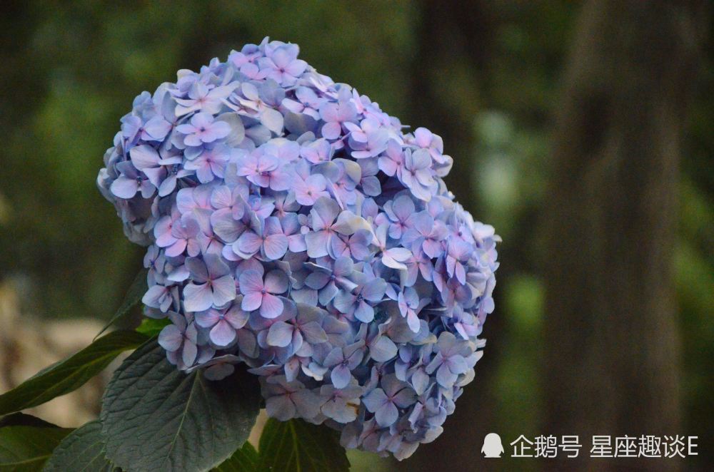 2月21日 27日星座运势 白羊头脑清醒 狮子相互包容 双鱼脚踏实地 腾讯新闻