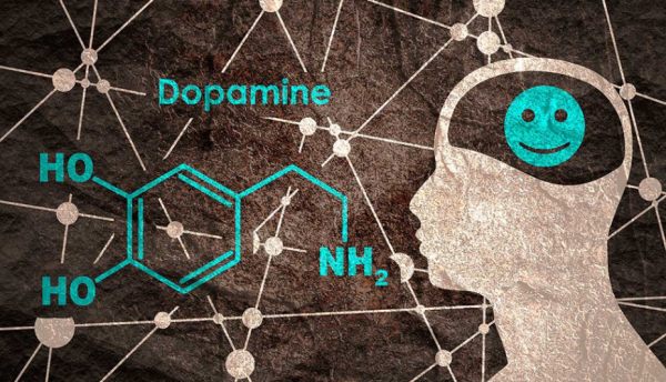 多巴胺|研究揭示激活态多巴胺受体D1R和D2R配体选择性和G蛋白选择性机理