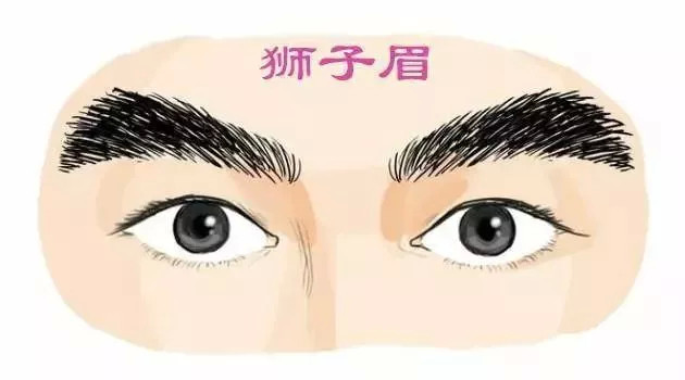 富贵惊人的四种眉相你有吗