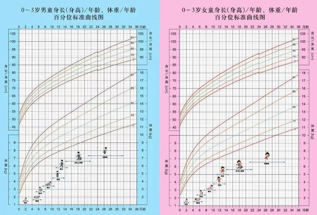 生长曲线图,各位父母可以参照看看,给自家宝宝也制作一个专属的成长