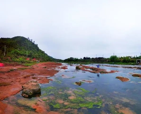 週末去醉美惠水賞花紅峰翠享布依風情