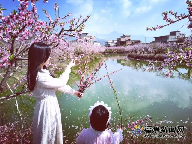美炸了 福州这几处盛景惹人醉 错过等一年 范东耀 叶宇楠 李花 罗源县 福州