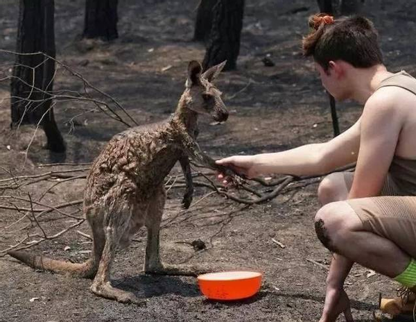 新冠疫情|新冠疫情未平，德国科学家再发末日警告：4.2万年前电磁灾难将来袭