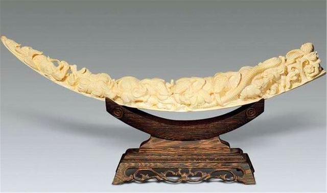 四川金沙出土1000根象牙挖了大半专家大呼快埋了别动了