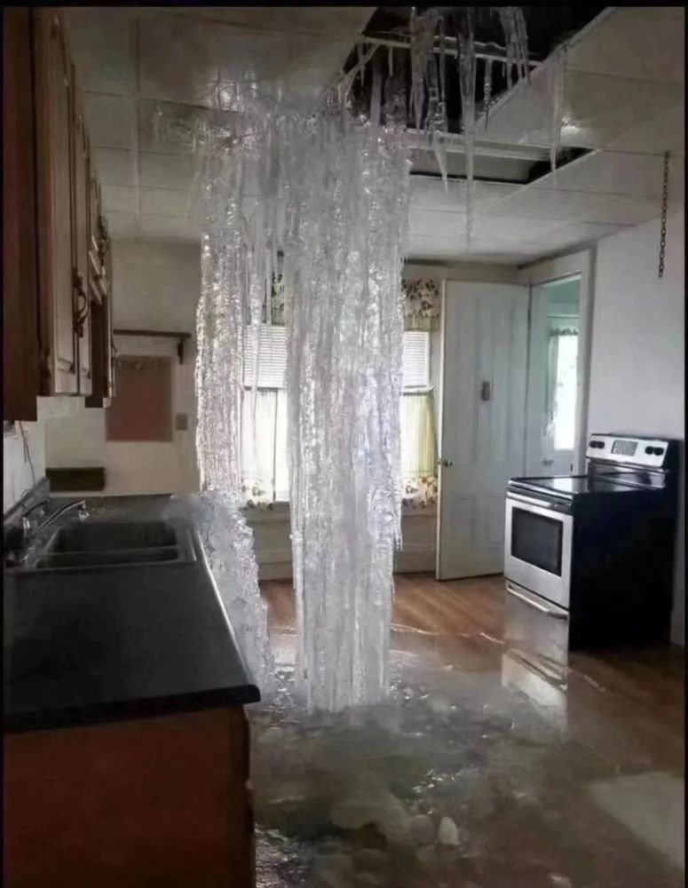 日本海滩涌现上万条死鱼绵延数百米科学家预警气候正坠入不可逆临界点