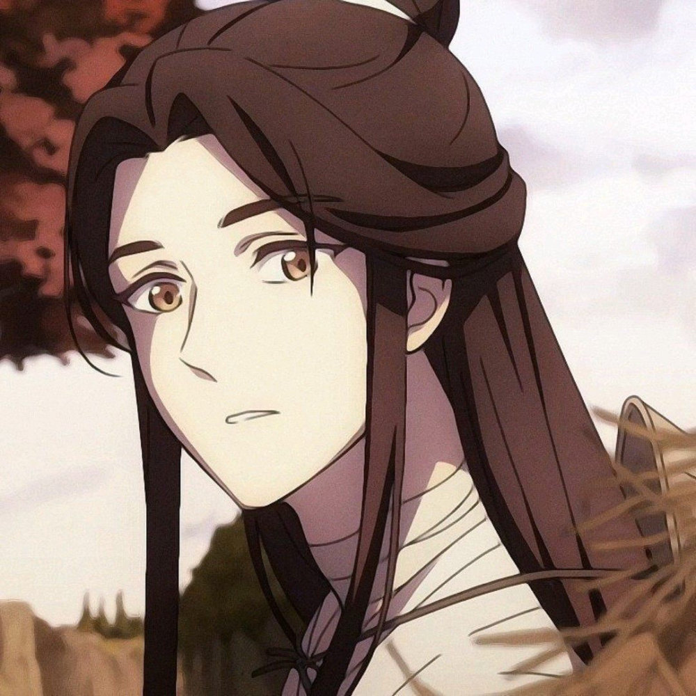 天官赐福谢怜头像