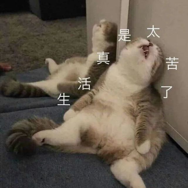 641