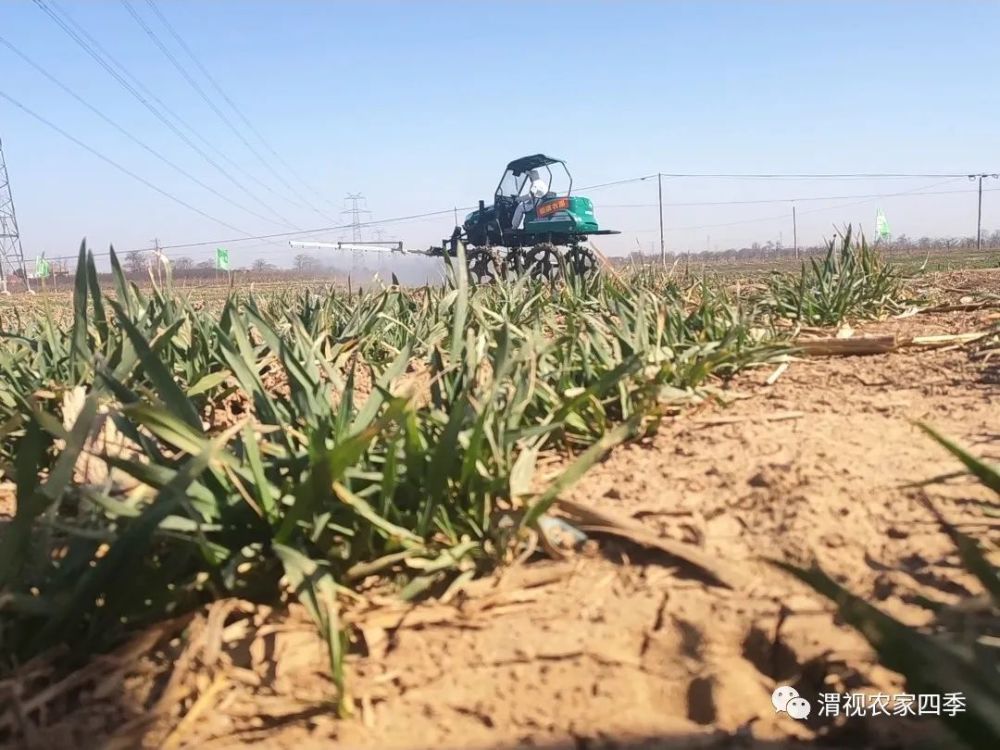 春耕农机|天上飞地上跑 渭南春耕农机忙