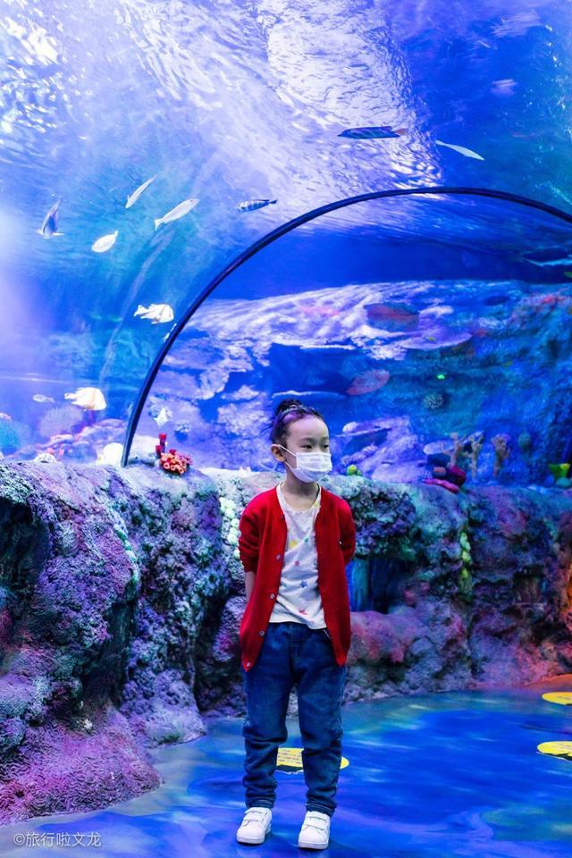 沈阳这个内陆城市,还有海洋世界看,而且是世界第一大水族馆品牌