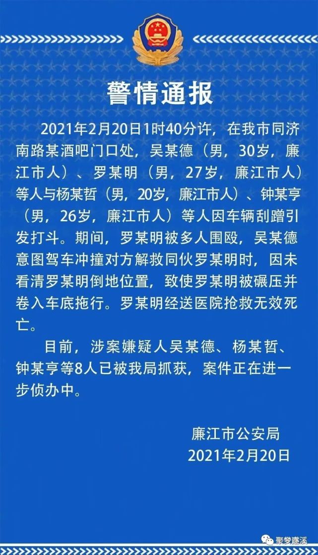 廉江市人口数_廉江市樱花公园图片(2)