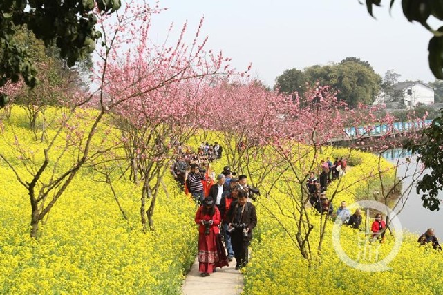人间正月天二圣扮成仙天坪山花开争春非遗闹春情趣浓 天坪山 云林天乡 重庆 二圣镇 油菜花