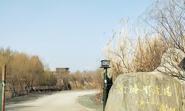 惊艳世界暗夜保护基地花落大丰野鹿荡