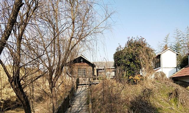 惊艳世界暗夜保护基地花落大丰野鹿荡