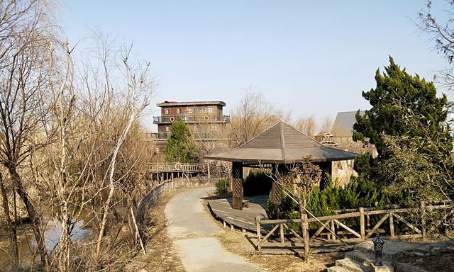 惊艳,世界暗夜保护基地花落大丰野鹿荡