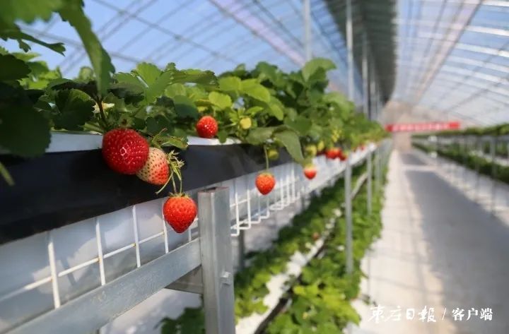 曹士刚|这处绿色主题公园为村民带来绿色希望