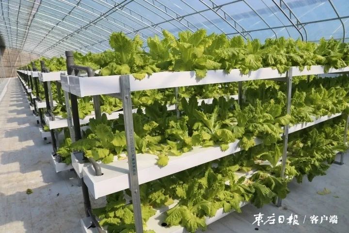 曹士刚|这处绿色主题公园为村民带来绿色希望