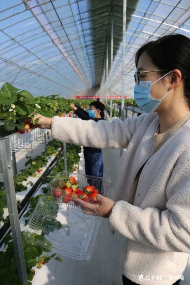 曹士刚|这处绿色主题公园为村民带来绿色希望