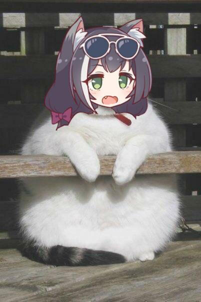 沙雕表情包:我永远喜欢可莉