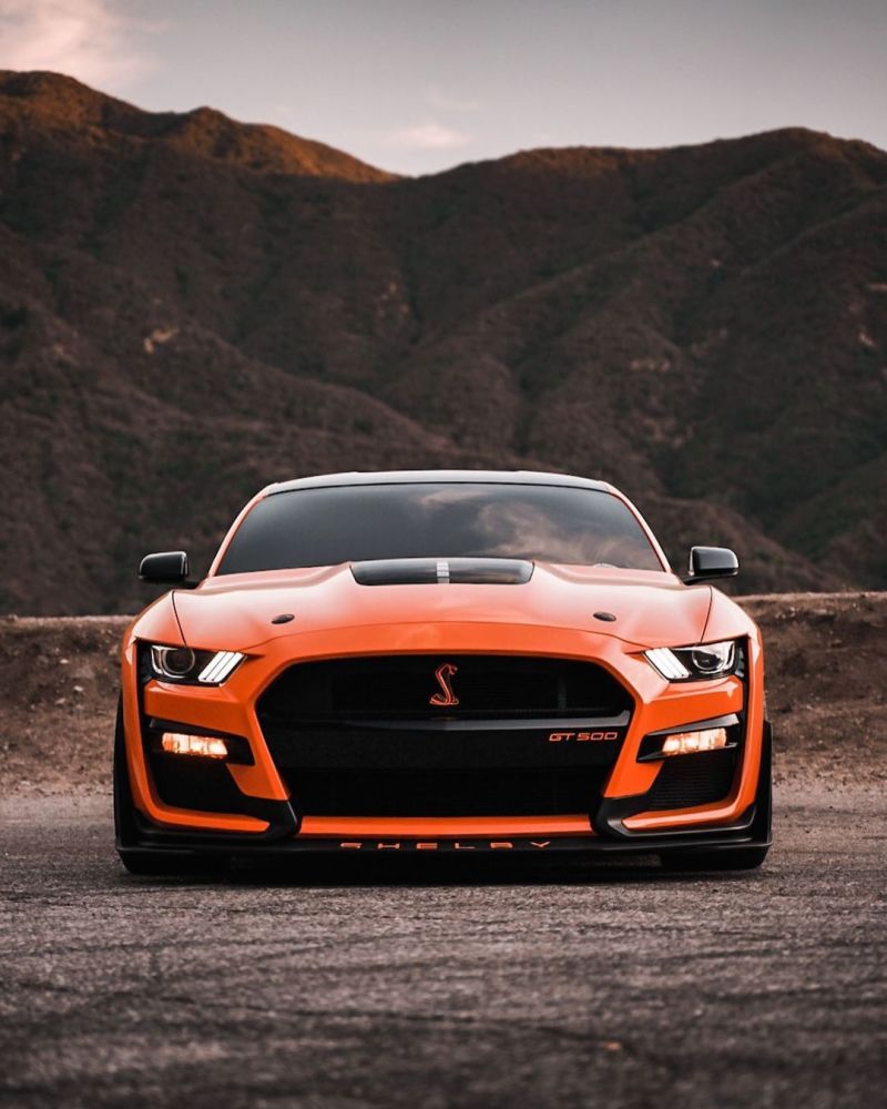 福特mustang眼镜蛇gt500