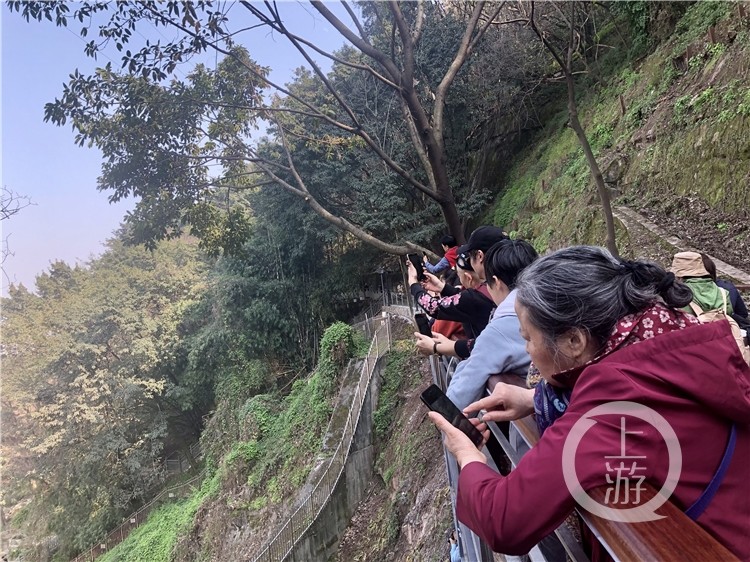 "开往春天的地铁"拍摄地佛图关公园火了 游客却吵了起来