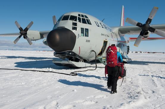 科学家再次沸腾 古生命迹象被发现后 南极冰盖中又出现不明生物 腾讯新闻