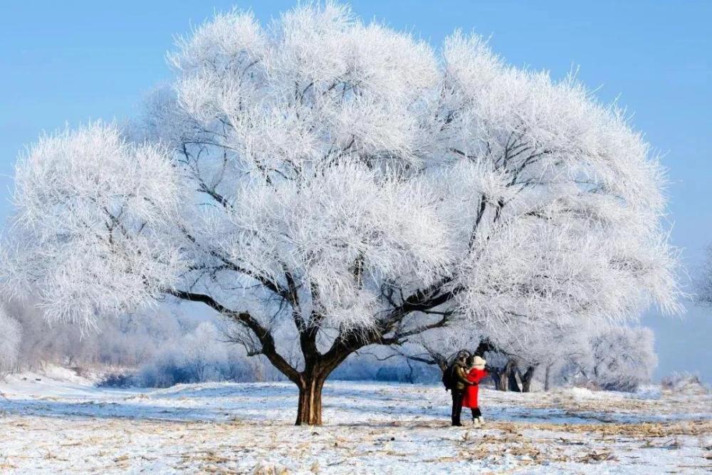 關於初雪的唯美文字