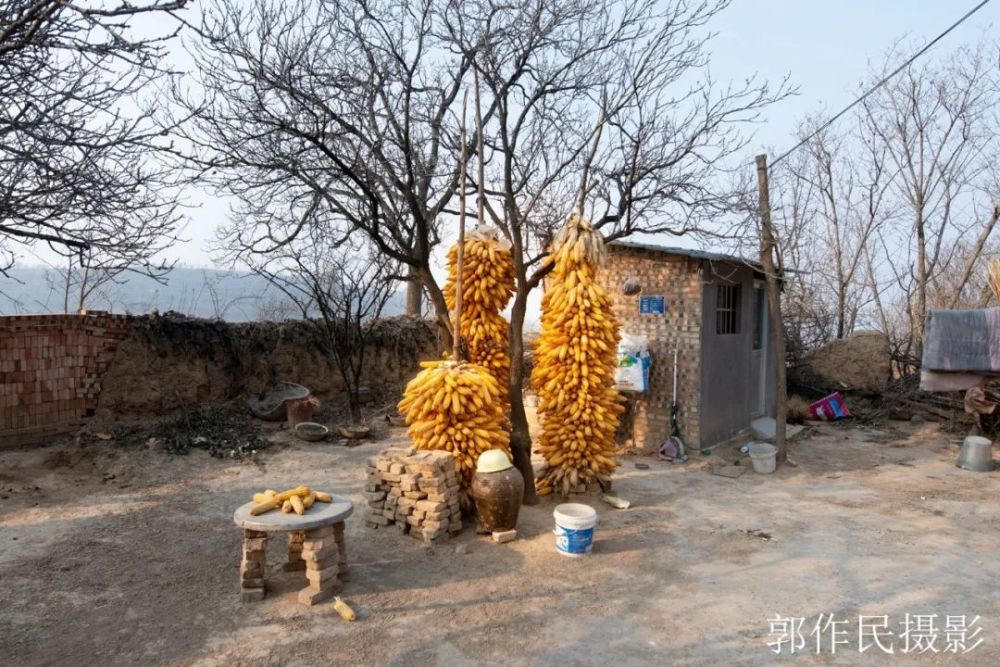 老夫老妻隱居山溝自由自在賽過神仙