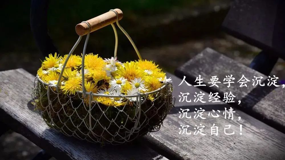 2021发朋友圈最火的人生哲理短句句句治愈心灵