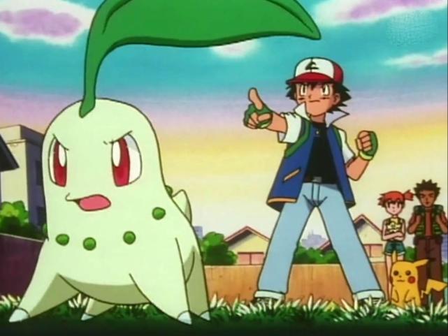 神奇宝贝图鉴no152头上的叶子散发着甜甜的香味菊草叶