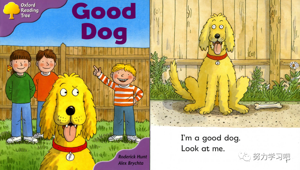 ort牛津阅读树145gooddog