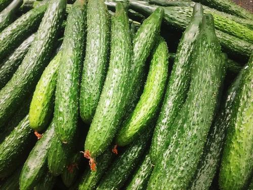 黄瓜|每天吃一根黄瓜，不仅减肥还能预防乳腺癌？先不要一味地相信