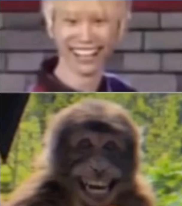 其实doinb撞脸也不是第一次了,之前doinb就和各式各样的猴子撞过脸