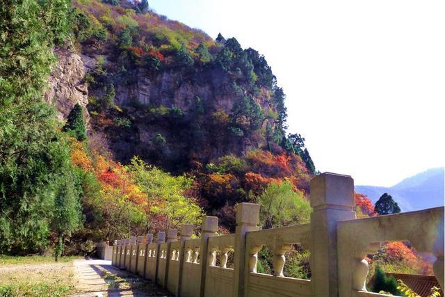 河北 小黄山 走红 距石家庄79公里 门票50红叶远超北京香山 腾讯新闻