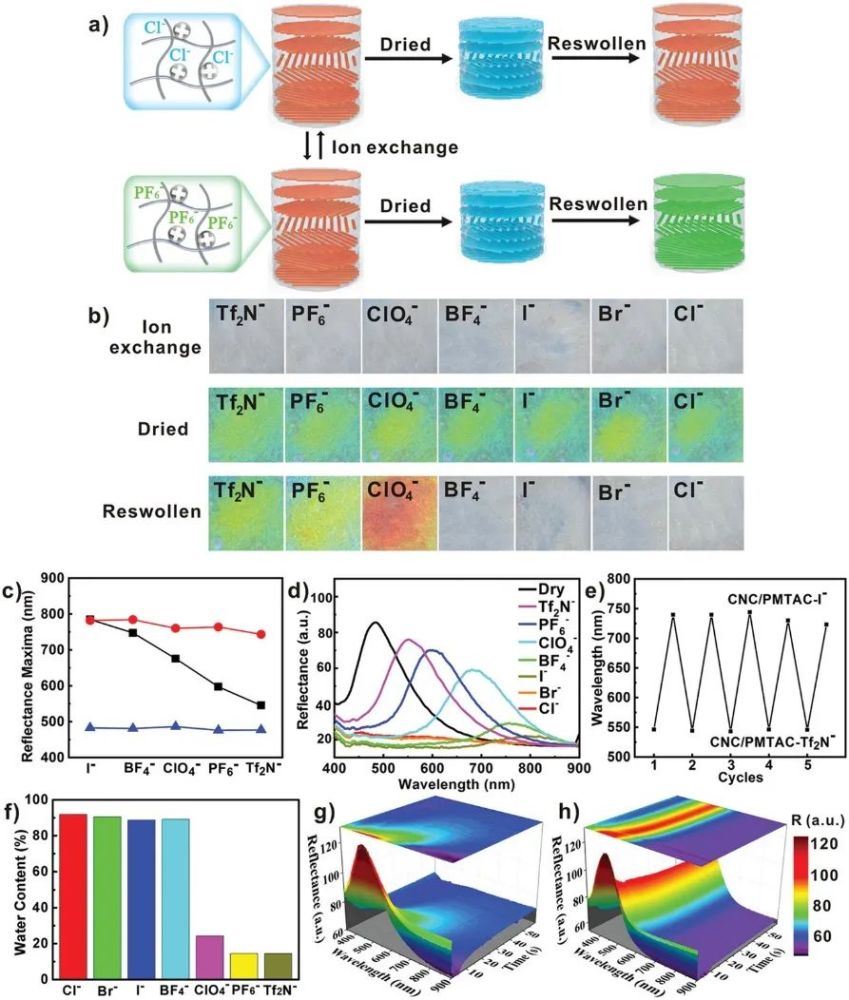 手性|中大洪炜《AFM》：手性光子纸润湿性可逆控制，实现信息的多重加密