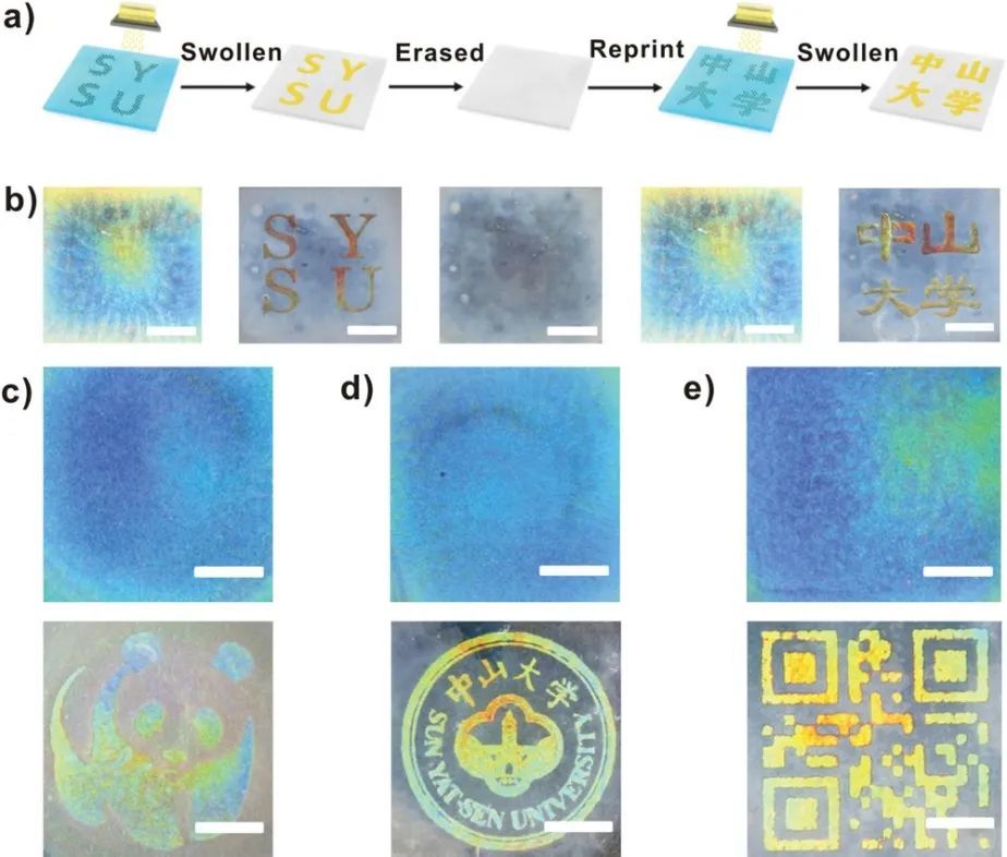 手性|中大洪炜《AFM》：手性光子纸润湿性可逆控制，实现信息的多重加密