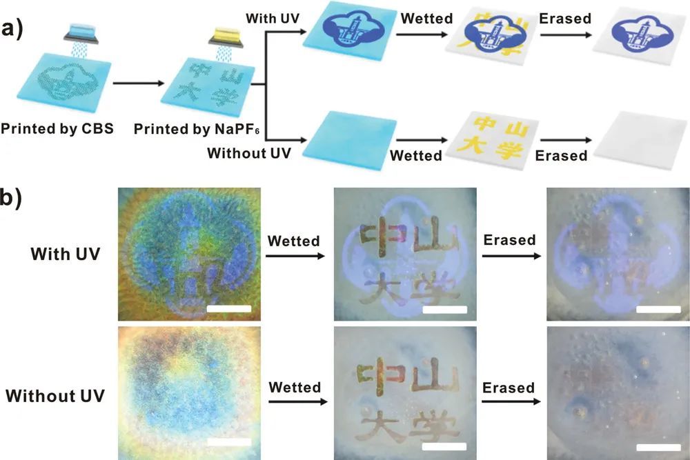 手性|中大洪炜《AFM》：手性光子纸润湿性可逆控制，实现信息的多重加密