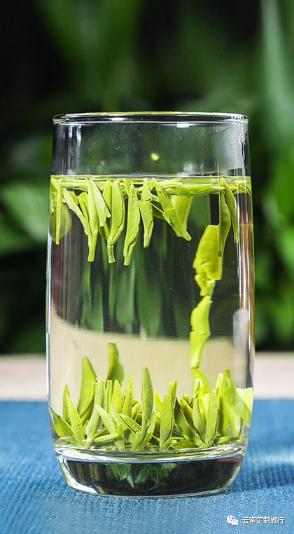 尝鲜特价包邮:龙井茶1市斤450元(龙井需要提前预约,因有浙江客商现场