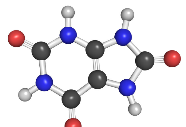 降尿酸|有什么降尿酸的好方法？饮食运动用药，一文全总结，建议收藏