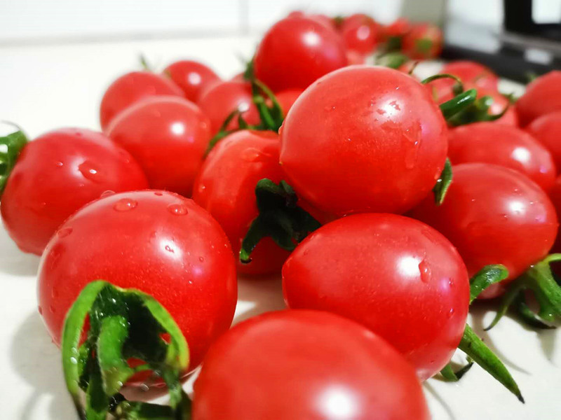 圣女果,又叫做小柿子,小番茄,小洋枣,它既是蔬菜亦是水果!