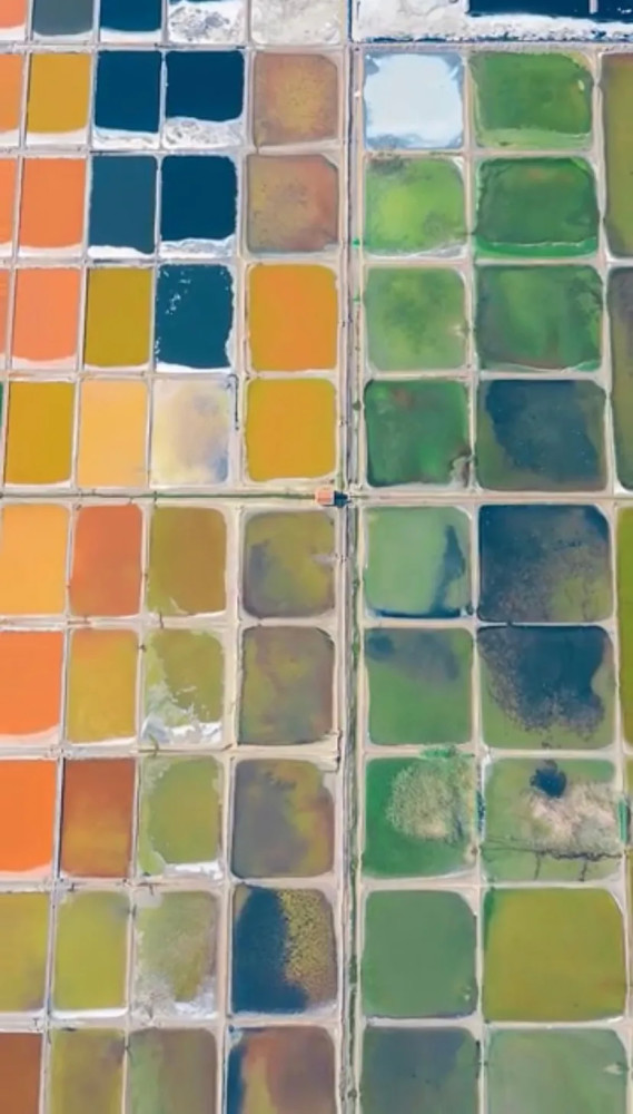 手套|看到这张图，才知道中国制造有多牛……