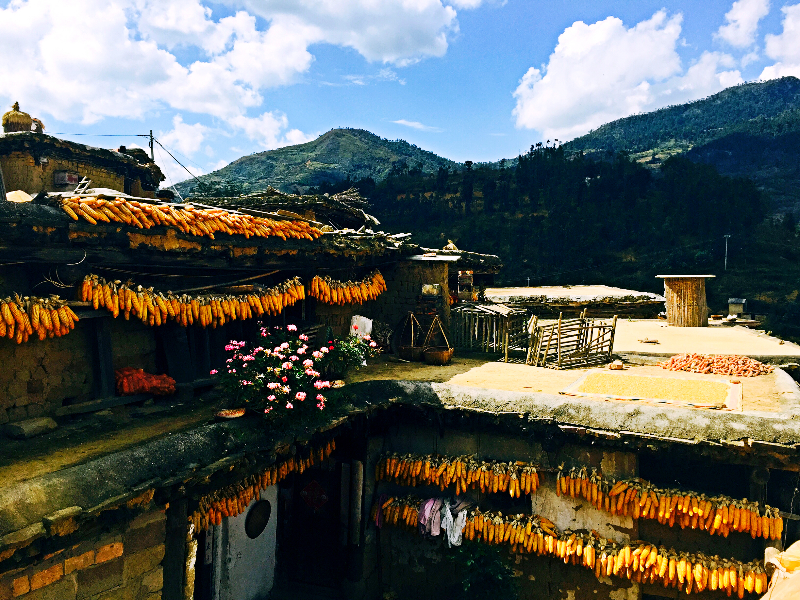 【脱贫万张图片】丰收的城子古村