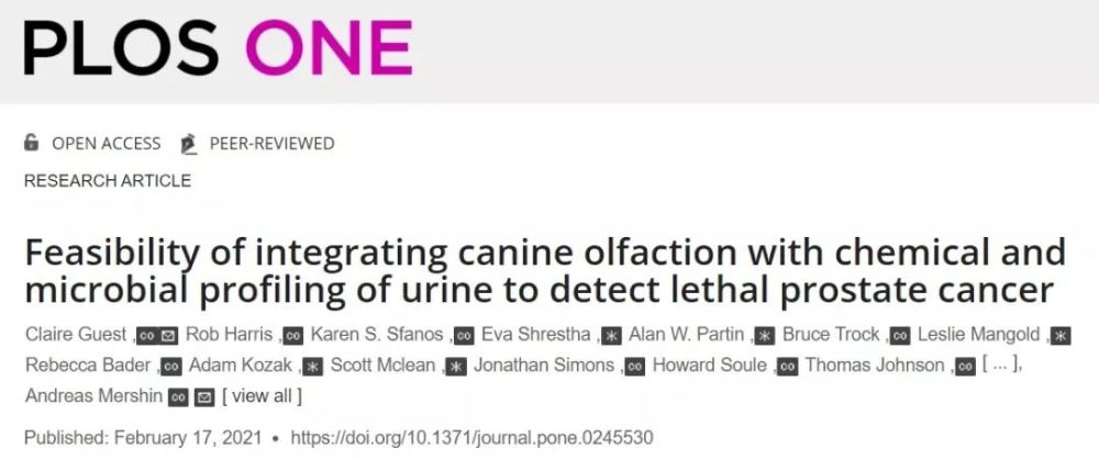 麻省理工学院|模仿犬类嗅觉，MIT研究人员开发气味探测系统，或可用于疾病筛查